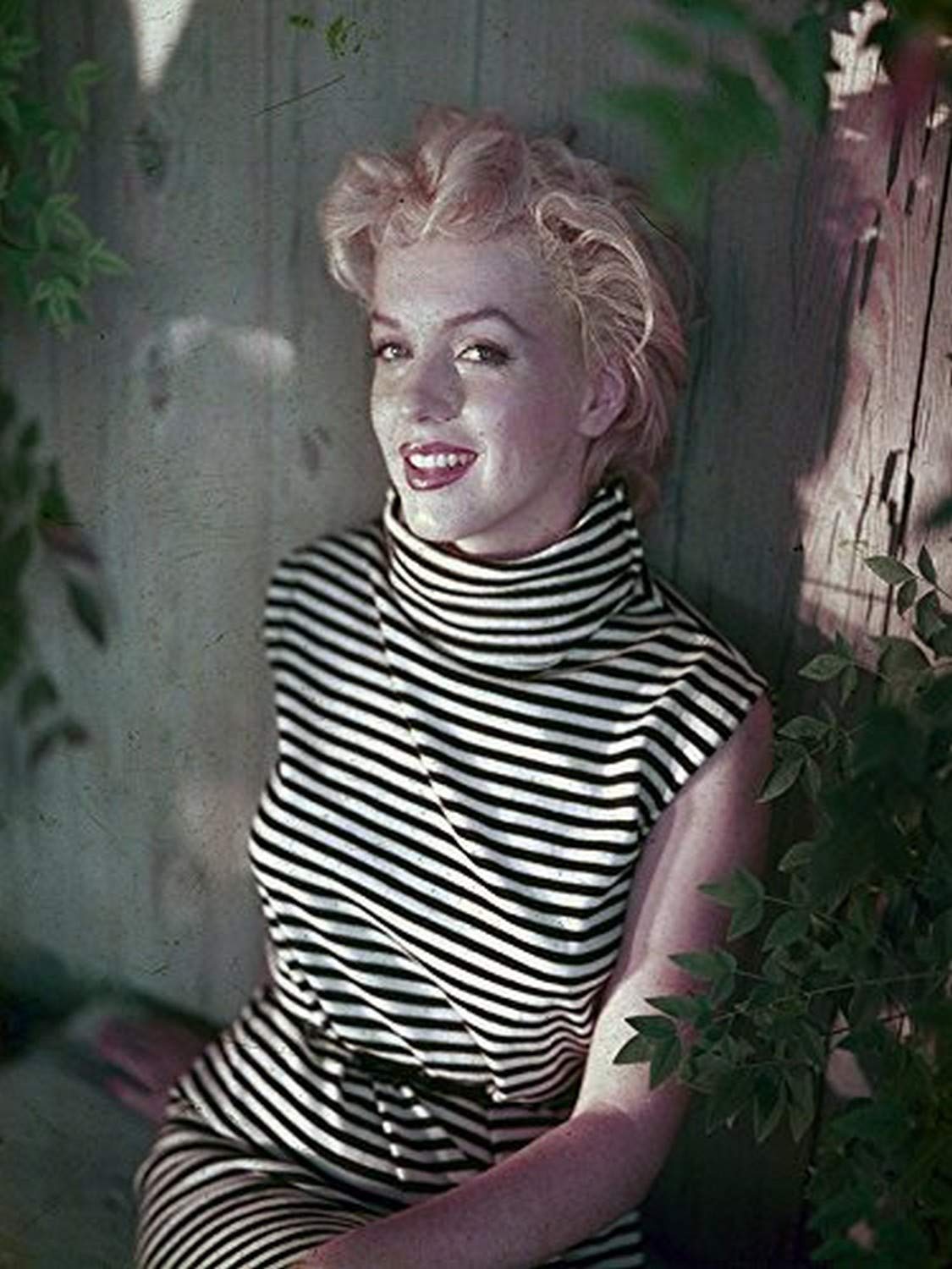 Amazon.co.jp: マリリンモンローのRare写真Feelingストライプ12 x 16