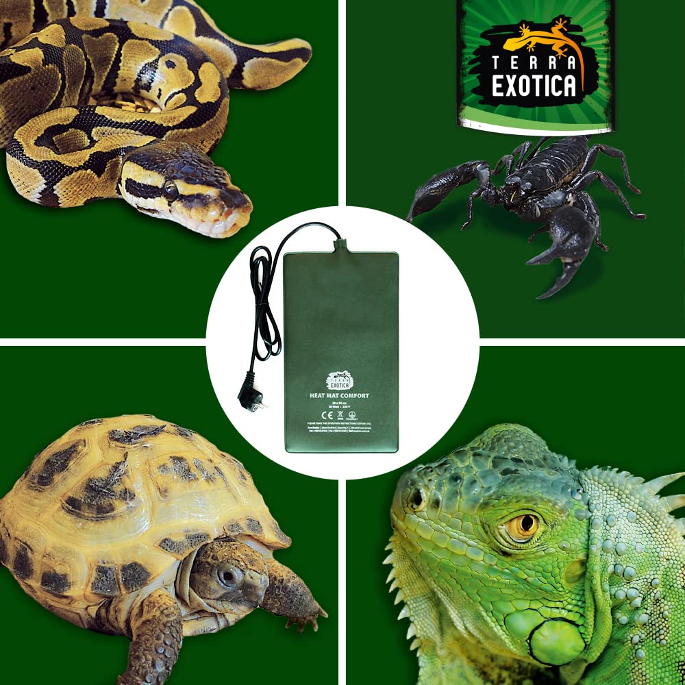 Terrarium Heizmatte Comfort 20 Watt, 20x35 cm - in 10W, 20W, 30W & 40W erhältlich - Wärmematte für Reptilien z.B. Schildkröten Schlangen Eidechsen - spritzwassergeschützt (Comfort Heizmatte, 20 Watt)