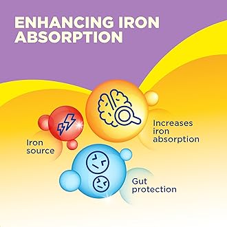 Bebelac 2 Nutri 7in1 Palm Oil Free Stage 2 Follow On Milk Formula, from 6 to 12 months 400g tin| Fortified with Iron, Vitamin C, prebiotics & postbiotics (3-GL)