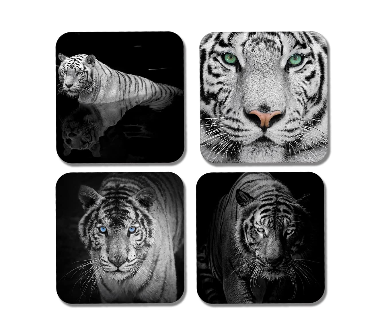 4 x Square White Tiger Coasters - Animals Safari Wildlife Tigers Gift #77924