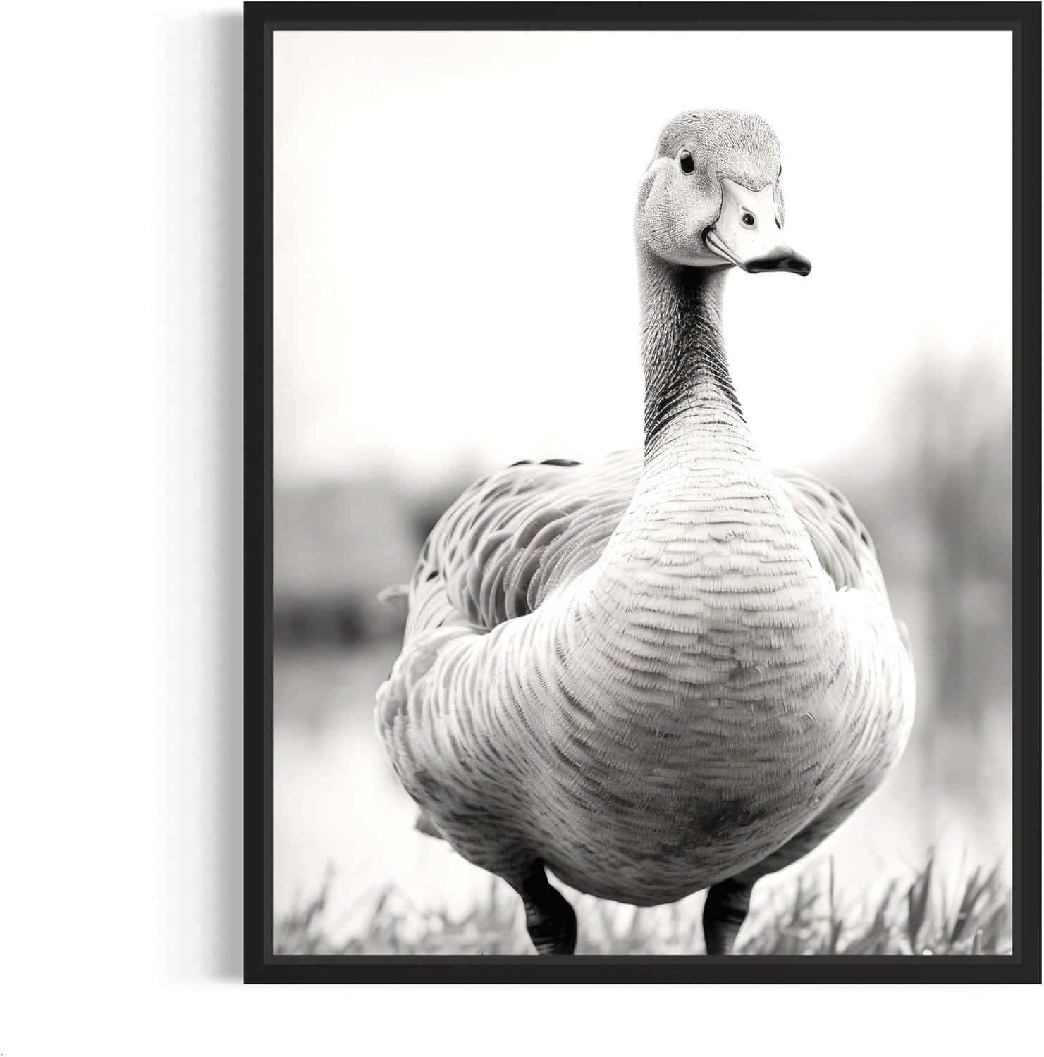 Rabbit Art Prints Posters, Black and White Photography Wall Art, Wildlife Safrai Jungle Nature Inspired Photos, Exotic Animal Wall Decor. (Rabbit, 18x24 inches (Unframed))