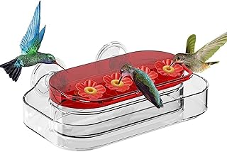 Window Hummingbird Feeders,Suction Cup Hummingbird Feeders for Window - Outside Viewing Hummingbird Feeder 4 Feeding Ports Window Hummingbird Feeders for Outside Riastvy