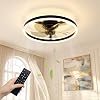 NIORSUN Ceiling Fans with Lights and Remote, 6 Speeds, 3 Color Temperatures, Dimmable Quiet Ceiling Fan Light, Smart Modern LED Fan Lights Ceiling for Bedroom Living Room Dining Room (50cm, Black) [Energy Class E]