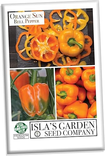 Miniatura 2 de Orange Sun - Semillas de pimiento dulce para plantar, más de 100 semillas tradicionales por paquete, semillas de jardín de Isla (semillas de jardín
