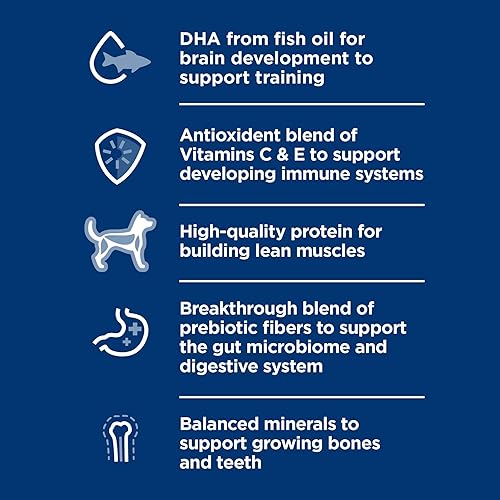 Miniatura 4 de Hill's Science Diet Puppy, Puppy Premium Nutrition, alimento seco para perros, cordero y arroz integral, bolsa de 4 libras