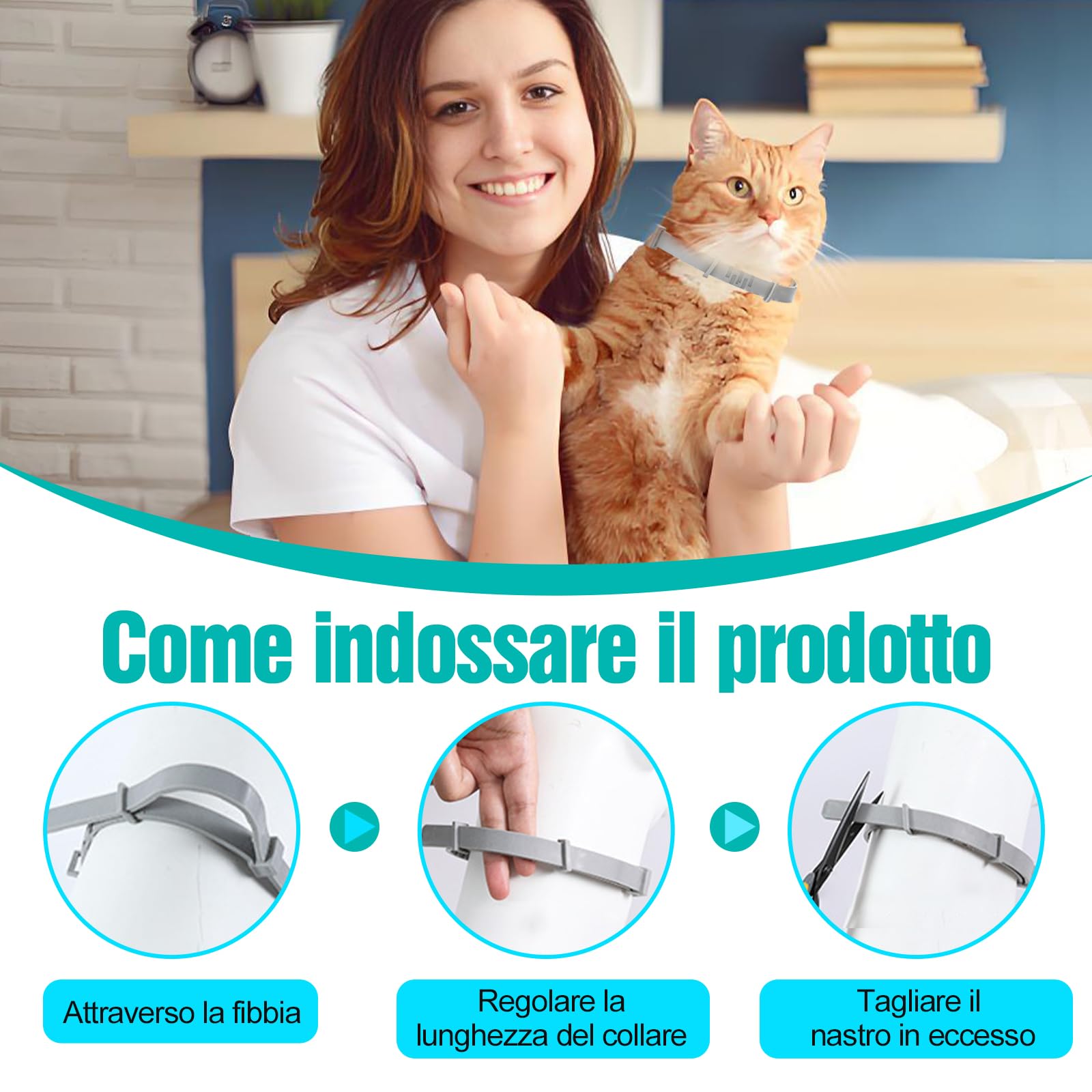 2 Pezzi Antiparassitario Per Cani,Collare Antipulci per Cane,Realizzato Con Oli Essenziali Naturali, Sicuro ed Efficace, Universale per Cani e Gatti,Protegge per 12 Mesi (piccolo cane e gatti)