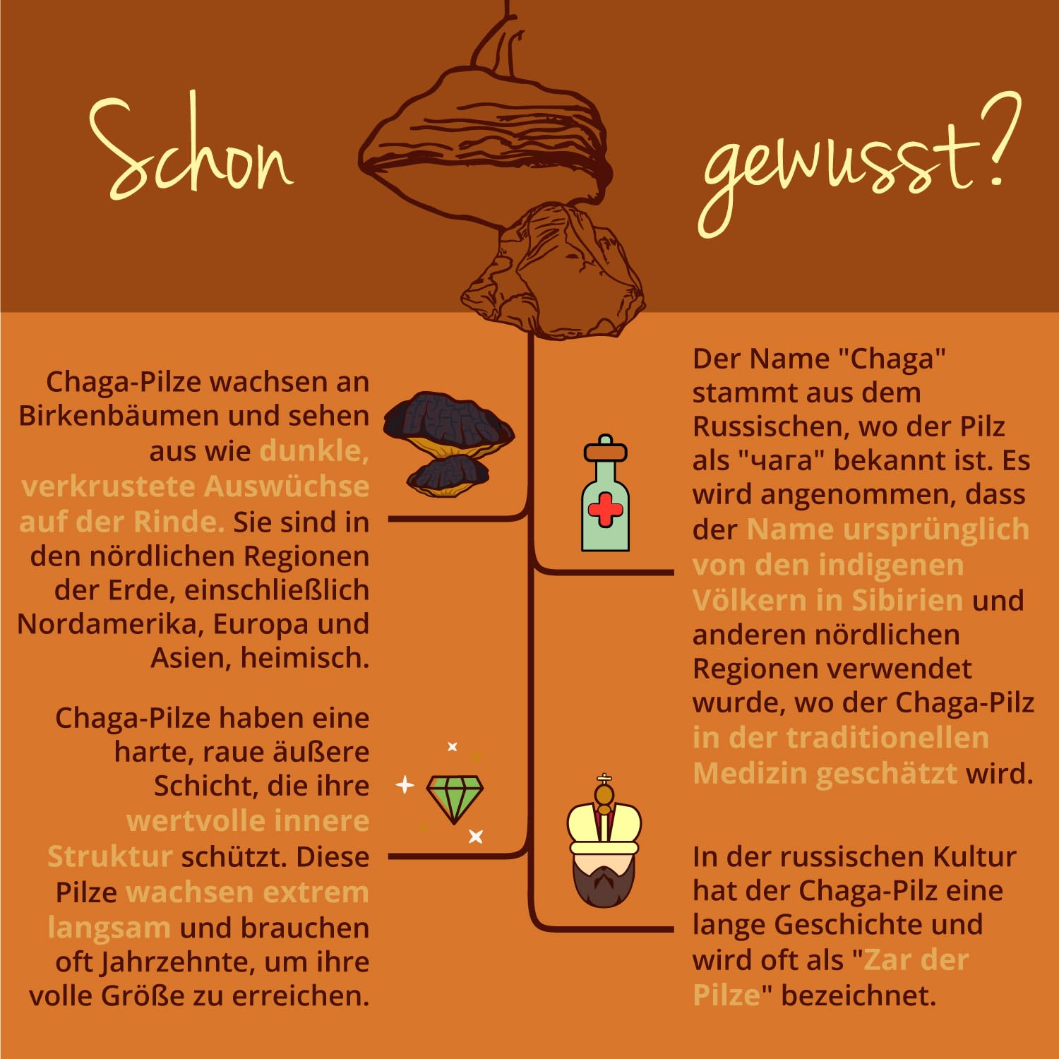 Bio Chaga Pilz Kapseln | Hochdosiert: 6.000 mg aus Extrakt (10:1) | 40% Polysaccharide - 30% Beta Glucane | Laborgeprüft | Vegan - Ohne Zusatzstoffe | Deutsche Produktion Vegavero®