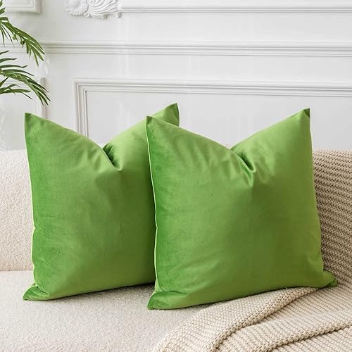 Juspurbet - Juego de 2 fundas decorativas de terciopelo para cojines, fundas suaves para sofá, cama o sillón con cremallera oculta, para sala y