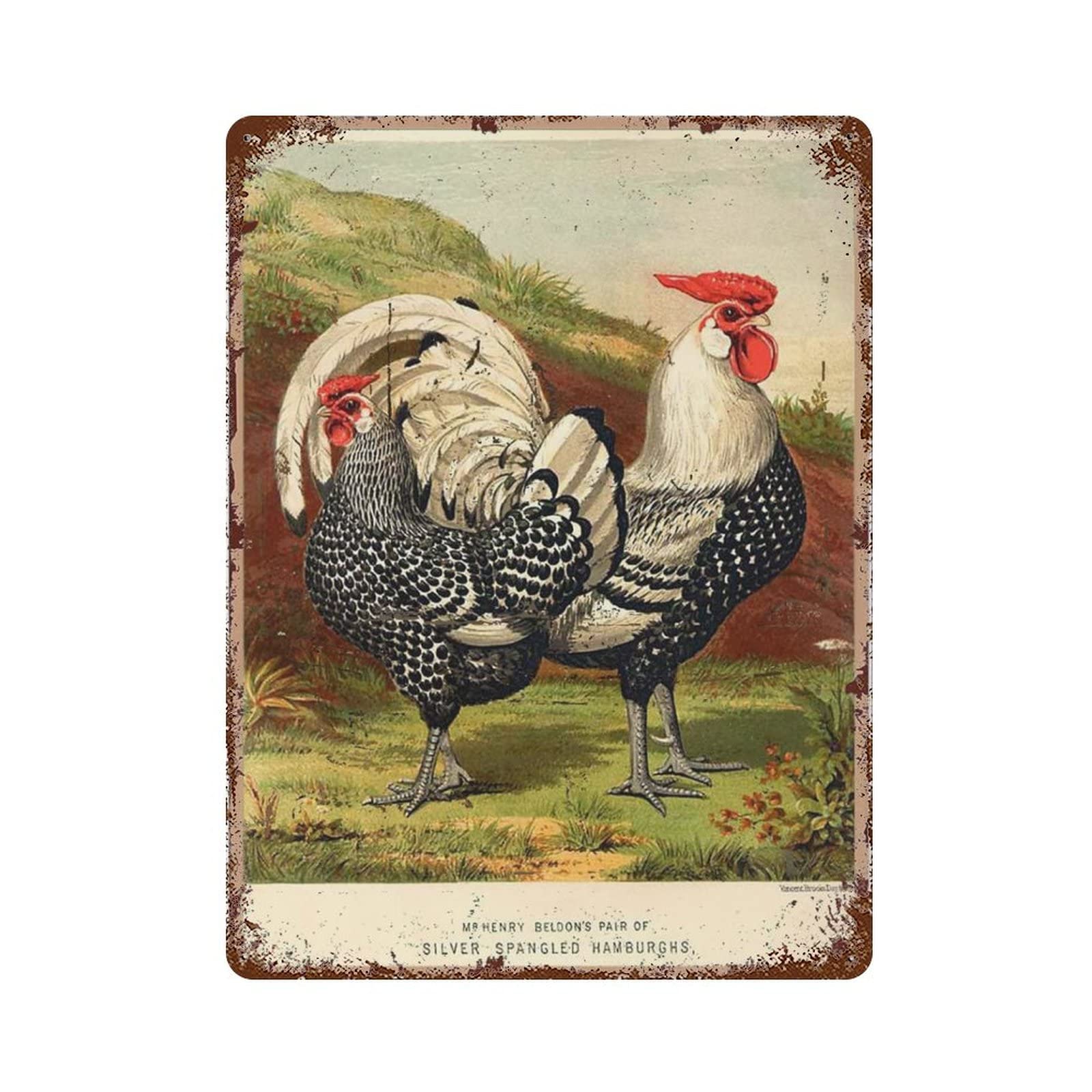 AOOEDM Chicken Decor Vintage Metal Sign for Home Shop Coffee Garage Man Cave Signs Wall Plaque Kitchen Bar Sign Wall Decor Poster