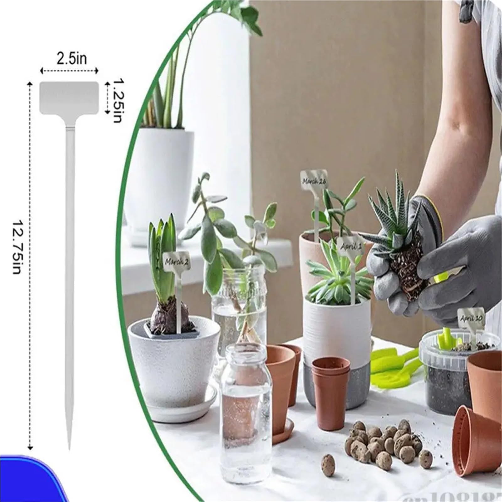 Pflanzenschilder 10 Stück Metall-Pflanzenetiketten, wetterfeste Gartenmarkierungen aus Edelstahl, Pflanzenmarkierungen for Pflanzen, Gemüse, Sämlinge, Blumen