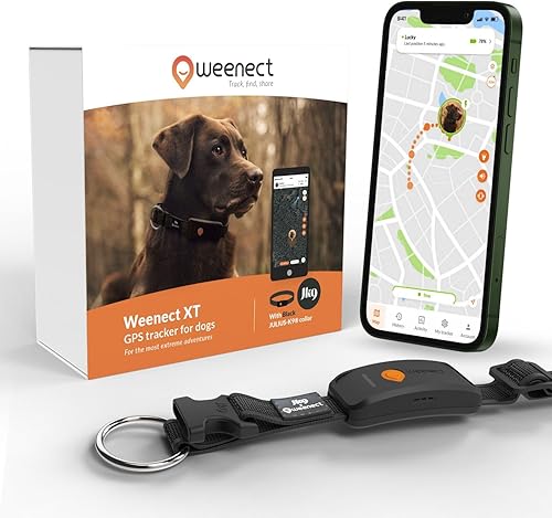 Weenect Dog XT - Nuevo collar GPS para perros  Antena XL  Impermeable  Collar Julius-K9 integrado ultra duradero  Requiere suscripción