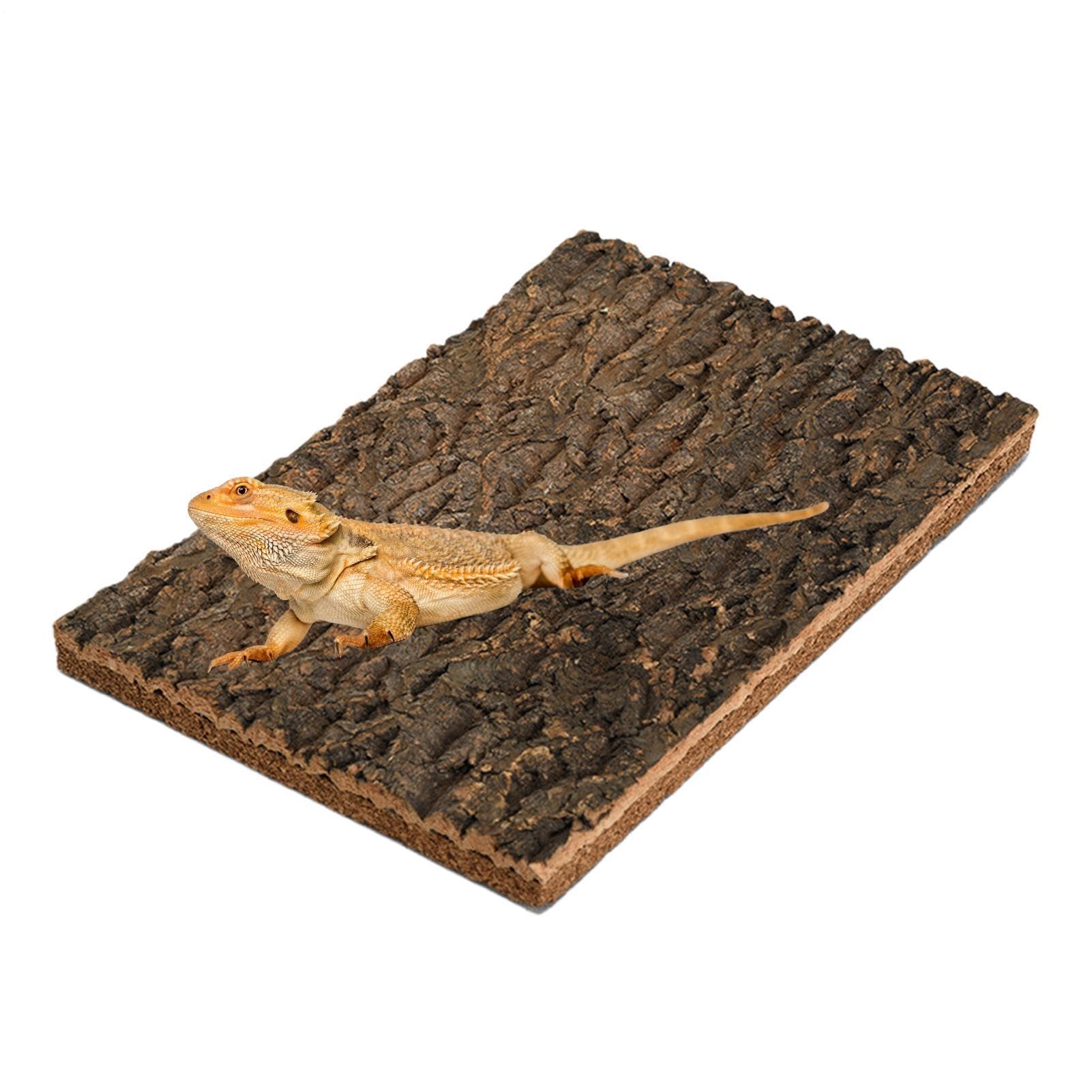 Bois de pour reptiles contre l'ennui des animaux gardiens de terrarium
