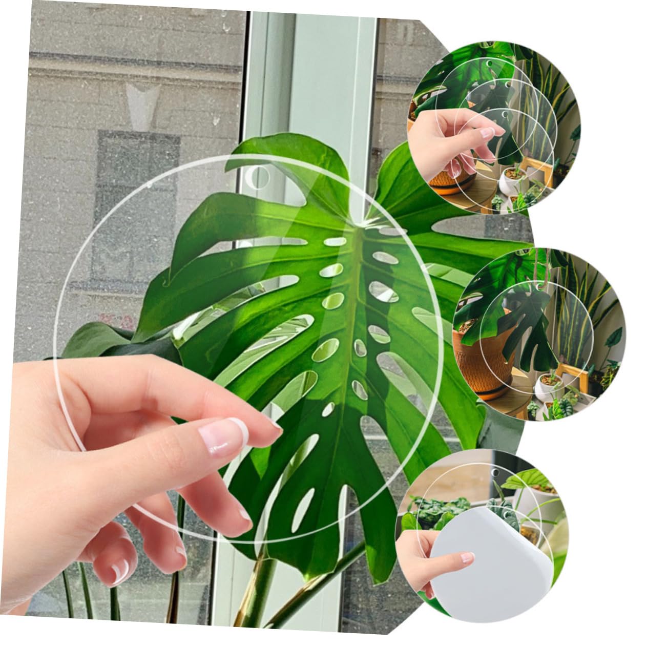 jojofuny 8pcs Acrylic Discs Holes Acrylic Circle Blanks for Crafts for Decorations and Artwork