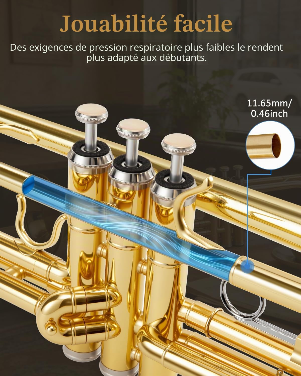 STRICH Ensemble de trompette standard en si bémol pour débutants, trompette d'étude en laiton avec étui rigide, kit d'entretien, embouchures 7C et 3C, gants - STR-1G, dorée