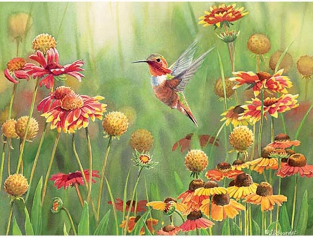 Outset Media Games OM52078 Rufous Hummingbird 500 Piece Puzzle