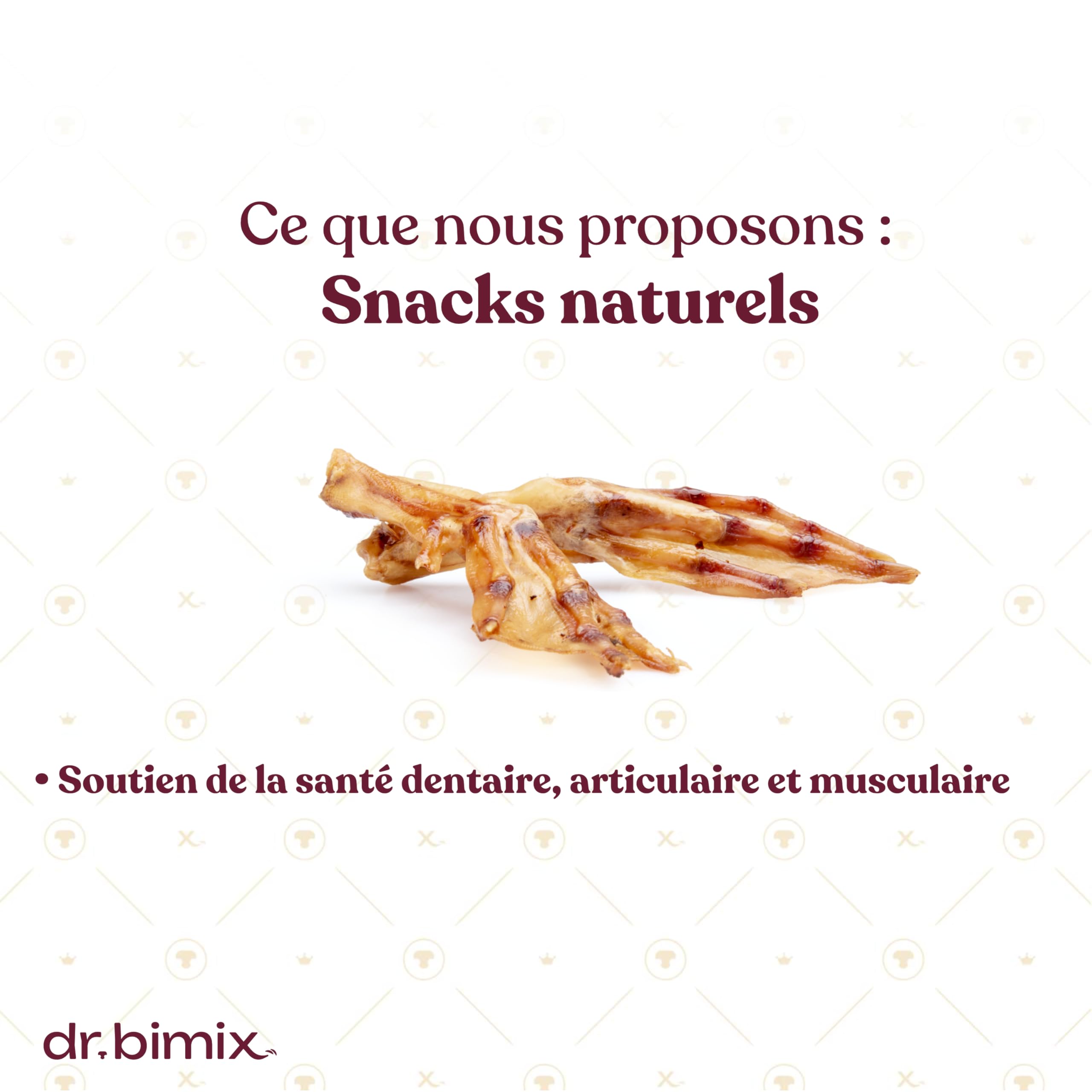 Pattes de Canard pour Chiens – Friandises Naturelles Riches en protéines et collagène – 450 g