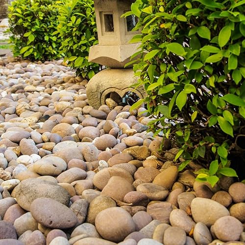 Miniatura 4 de Rocas naturales de río de 20 libras, guijarros prémium de 2 a 3 pulgadas para diseño de jardines y paisajes, piedras lisas seleccionadas a mano para