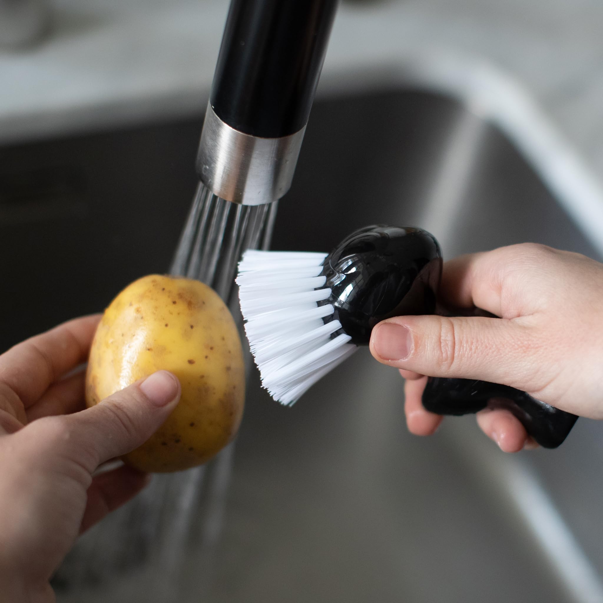 Koziol Tweetie Brosse à légumes et fruits Plastique incassable bleu fort