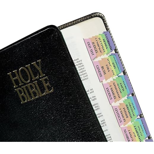 Tabbies Rainbow Bible Indexing Tabs, Old & New Testaments, 80 Tabs Including 64 Books & 16 Reference Tabs, Multi-Colored (58346), Rainbow Colored