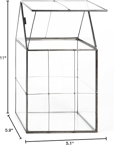 Miniatura 6 de D'Eco - Terrario geométrico de vidrio para plantas (6 x 5 x 11), centro de mesa de otoño para suculentas, plantas de aire y musgo, decoración para