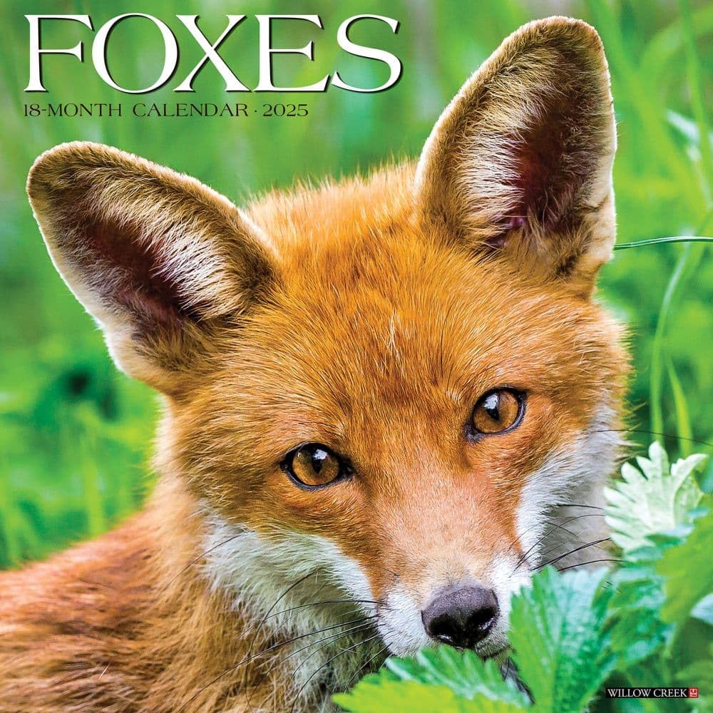 Foxes 2025 12" x 12" Wall Calendar