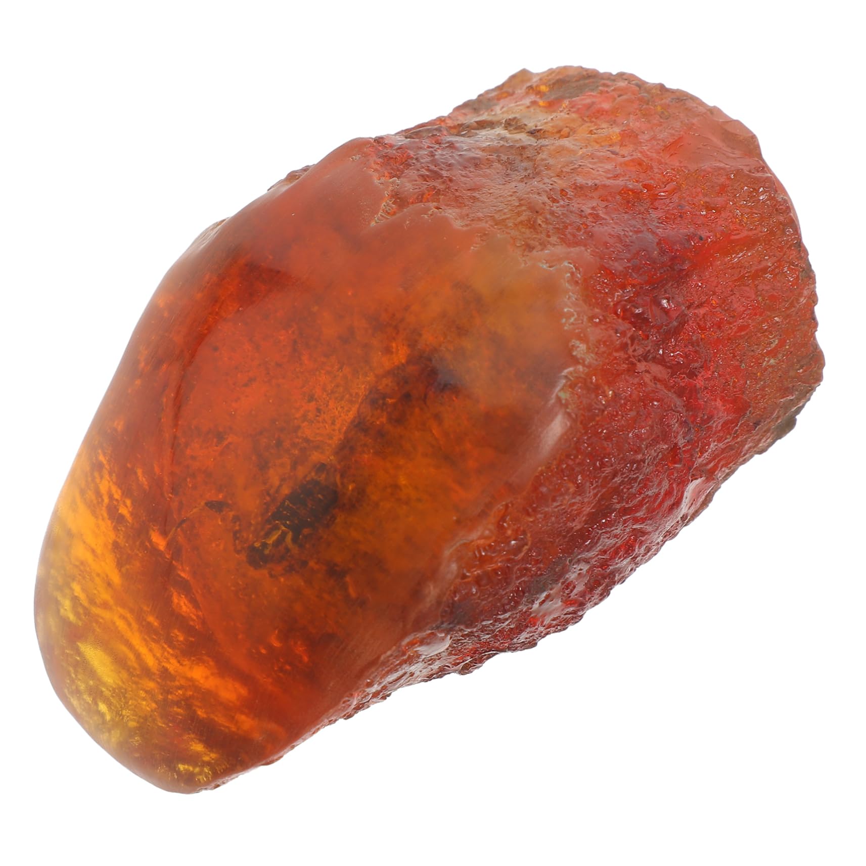 4pezzi Specimen Insetto Ambra Resinosa Decorazione Elegante Per Collezionisti e Appassionati Di Compatte Oggetto Da Esposizione Unico e Raffinato