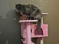 Review Image by miravanillacoke miravanillacoke