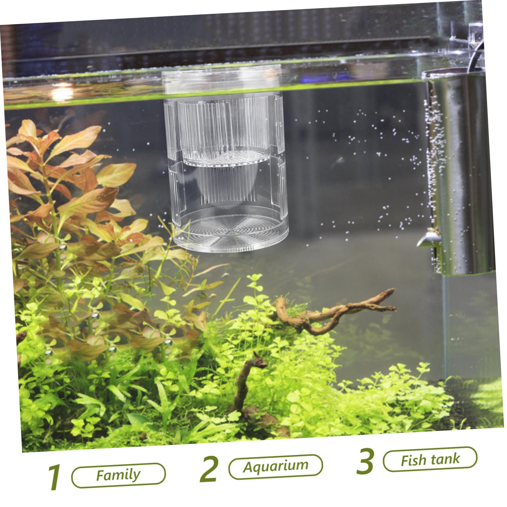 Schwimmende Fischzuchtbox aus Robustem Acryl Isolierende Brutkammer mit Saugnäpfen für Guppy und Betta Wiederverwendbare Aufzucht Brutbox für Aquarien mit Konstantem Wasserfluss