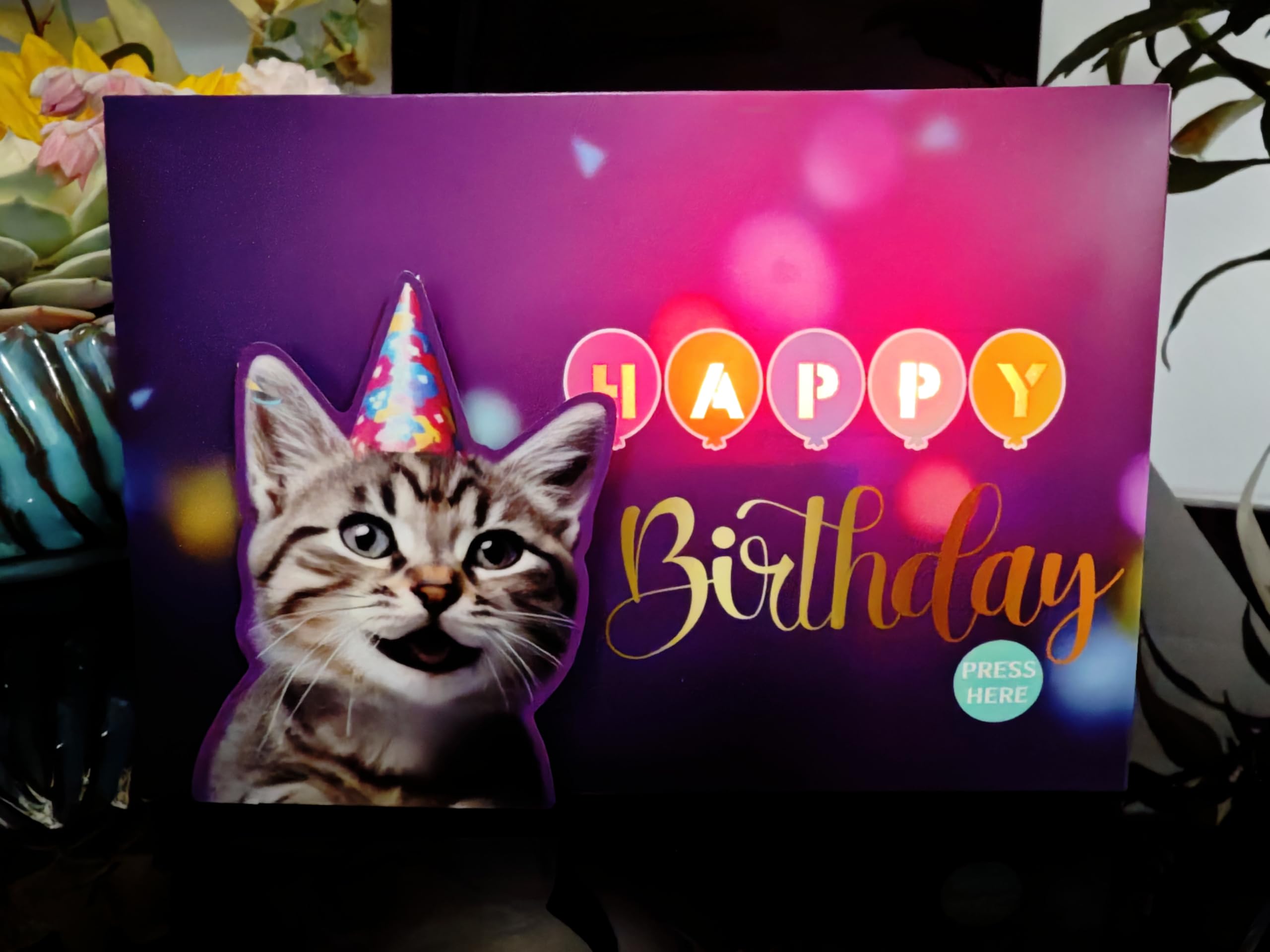APOTODITO Birthday Cards, Cat Birthday Card with Lights and Music, Funny Gifts for Women Men Cat Lovers Mom or Dad
