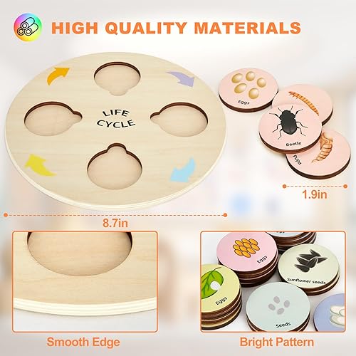 Miniatura 3 de TBFUNNY Juguetes de ciclo de vida para niños, kits educativos de ciencia, juguetes Montessori para niños de 3, 4, 5, 6 años en adelante, aprendizaje