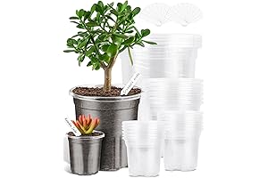 PACETAP Clear Planters, 40-Pack Reinforced Nursery Pots with Drainage Holes