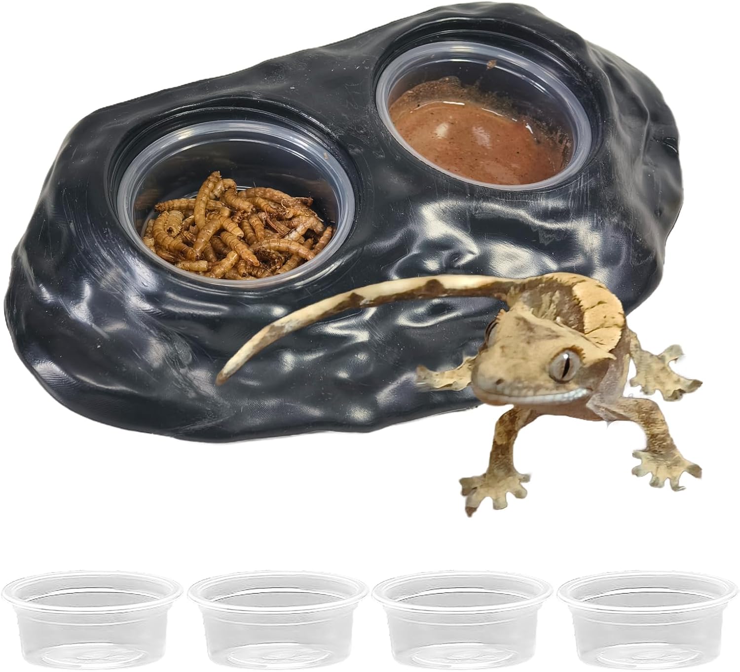 Tfwadmx Magnetic Reptile Feeder Ledge,Crested Gecko Feeding Ledge,Black