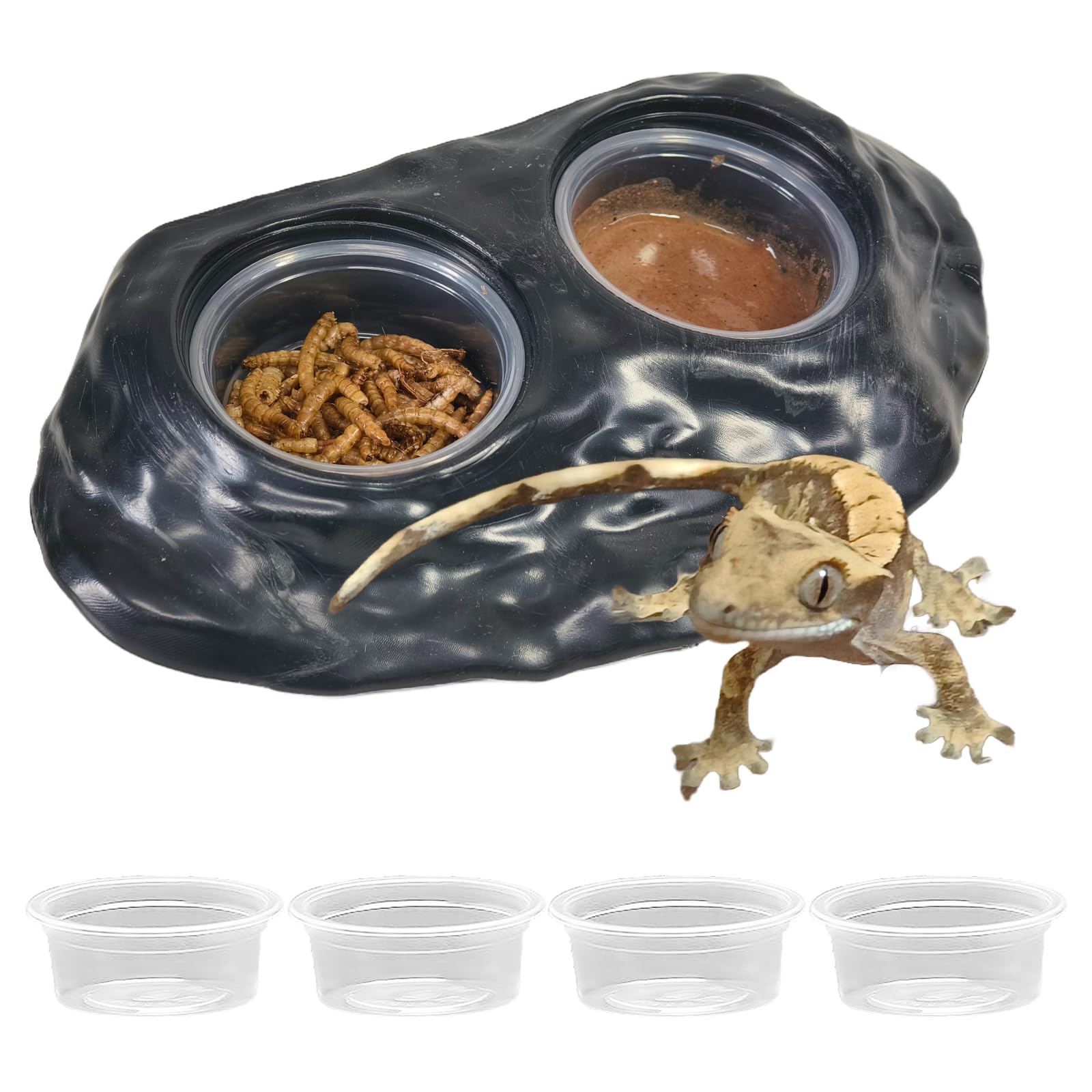 Mangeoire gecko accessoires de terrarium pour caméléons et grenouilles