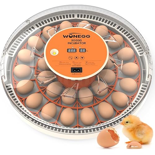 30 Egg Incubators for Hatching Eggs with Automatic Egg Turner, Auto Temperature Control, LED Candling, Humidity Monitor, 360° Viewing for Chicken Duck Quail Bird
