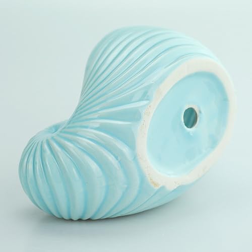 Miniatura 4 de VanEnjoy Maceta de cerámica para suculentas de 5 pulgadas, bonita serie de conchas azul océano, maceta de cactus en forma de caracola, maceta de