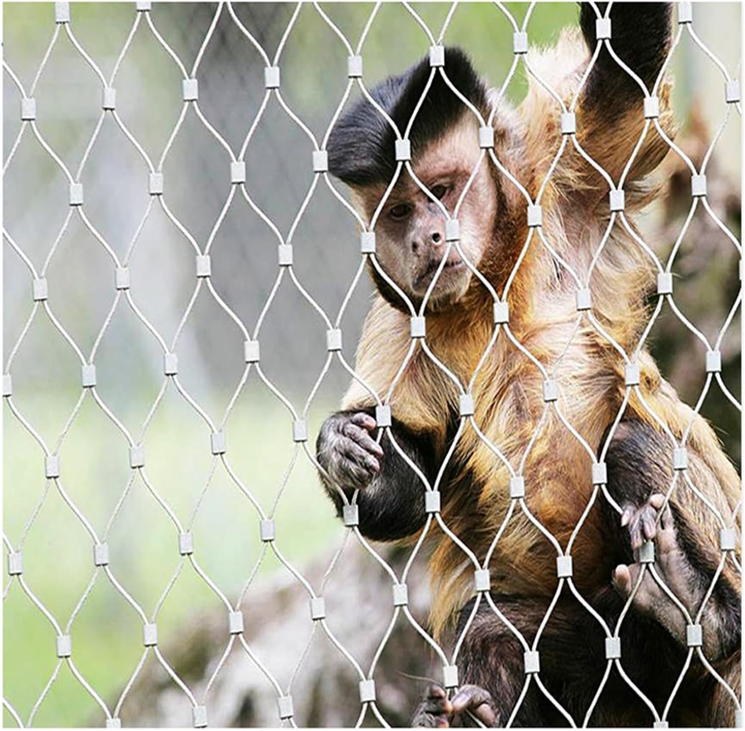 Filet en acier inoxydable de sécurité tissé haute résistance