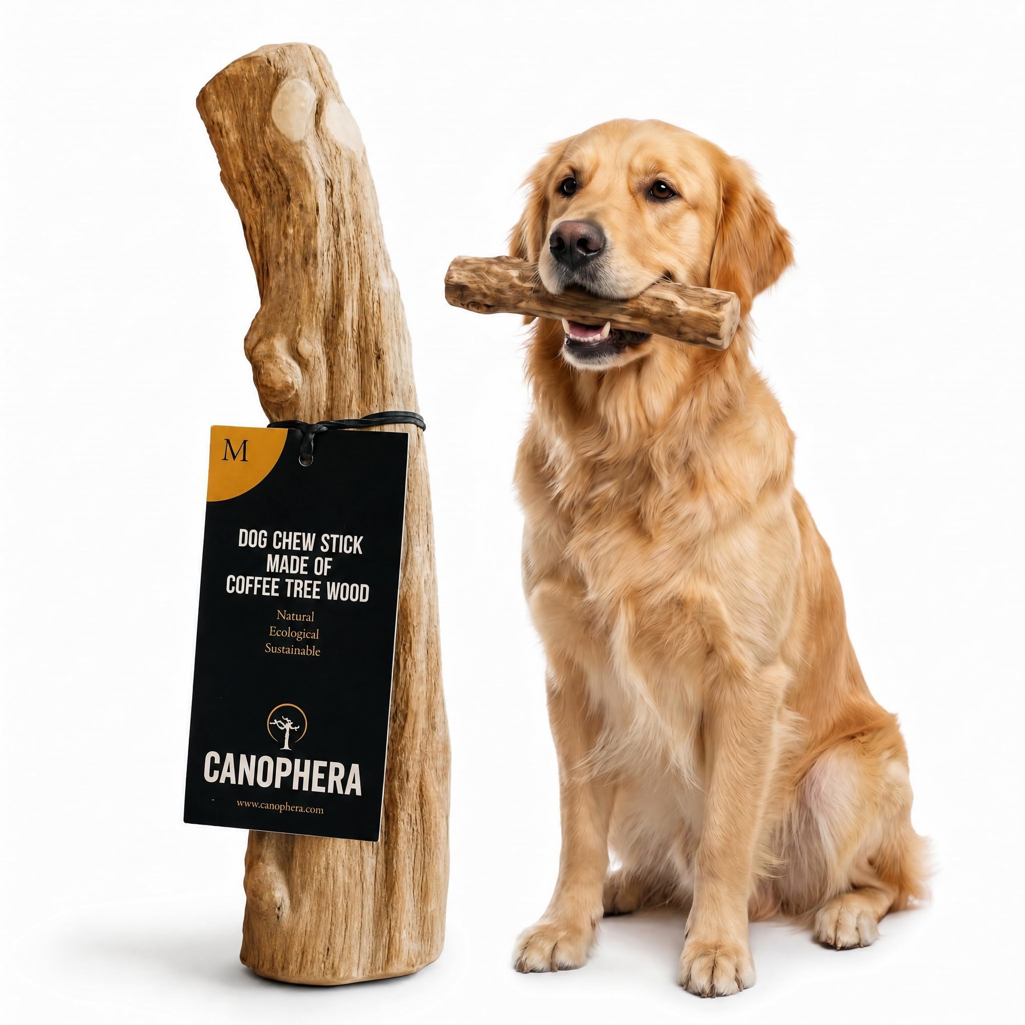 Canophera Coffee Wood Dog Chew Sticks for Regular Chewers - Size Medium