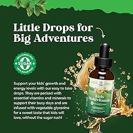 Natures Craft Liquid Multivitamin for Kids Immunity Support - Yummy Toddler Multivitamin Supplement with a C D3 E B6 and D3 Liquid Vitamins for Kids of All Ages - High Absorption (2 Pack)