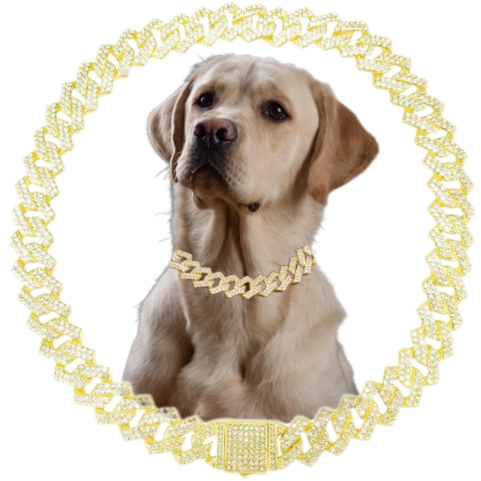 Glod Dog Chain Collar Rhinestone Bling Glitter Metal Cat Necklaces Diamond Cuban Link Puppy Collar, Pet Jewelry for XXS XS Small Medium Large Dogs