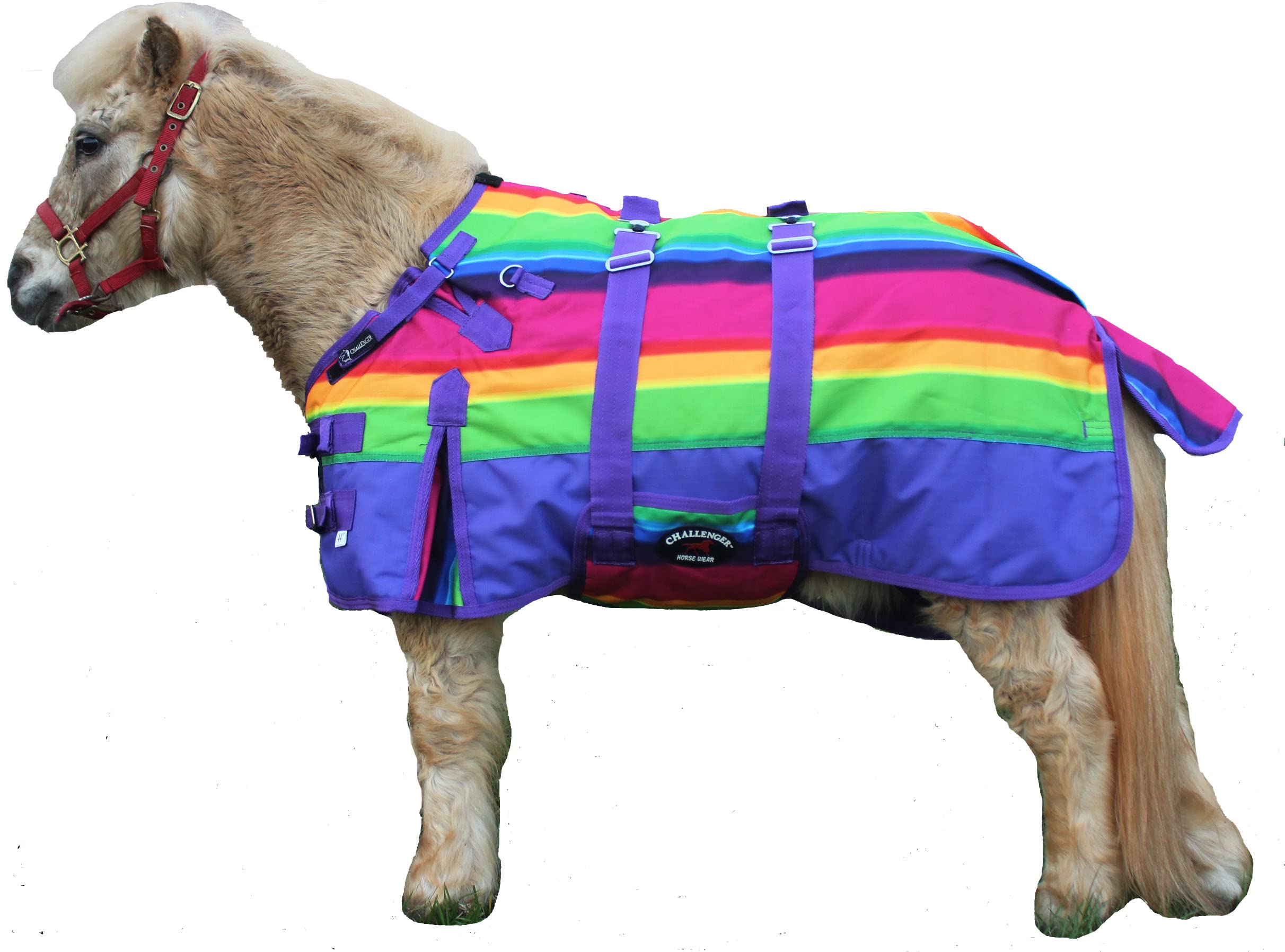 CHALLENGER 1200D Miniature Weanling Donkey Pony Horse Foal Winter Blanket