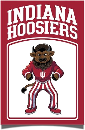 Desert Cactus Pôster da Universidade de Indiana IU Hoosiers 28 x 43 cm Decoração de escritório Decoração Oficial Fan Gear (28 x 43 cm, Poster Bison B) por Papel — capa do álbum