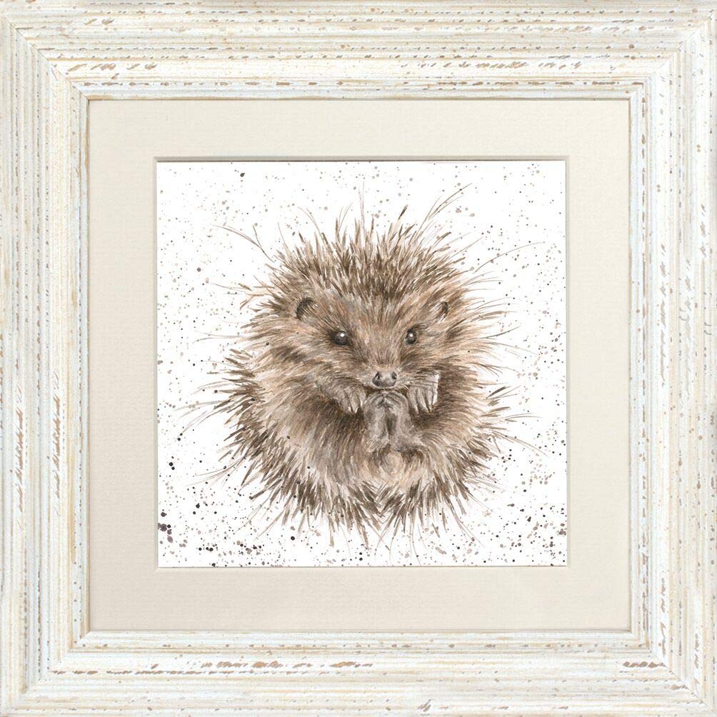 Wrendale Designs Distressed White "Awakening Hedgehog Framed Picture In Various Frame Colours (Distressed White)