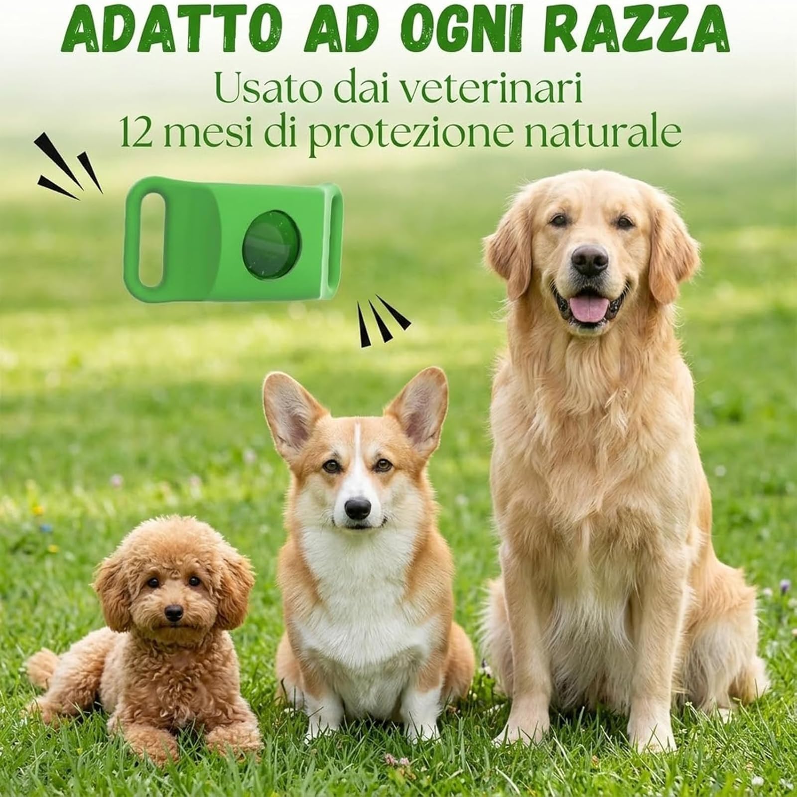 ZVD Collare Antiparassitario Naturale,Collari Antiparassitari per Cani,Ciondolo Repellente per Pulci e Zecche per Cani,Ingredienti 100% Naturali,Protegge da Pulci e Zecche (Grigio)
