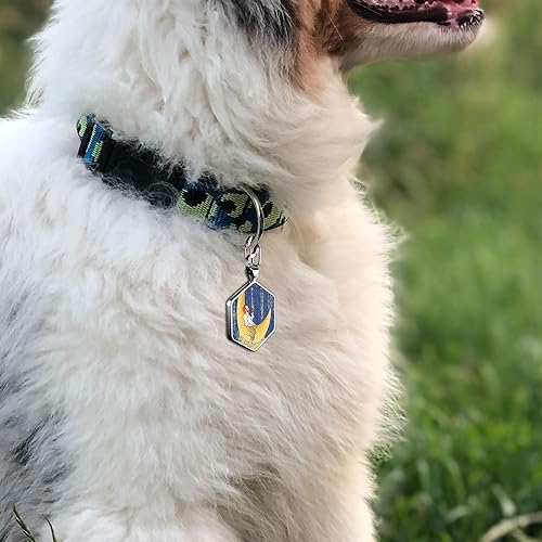 Miniatura 4 de Etiqueta de perro para perro Código QR Etiqueta de identificación de perro Información personalizada de mascotas Perfil de mascota en línea Perfil