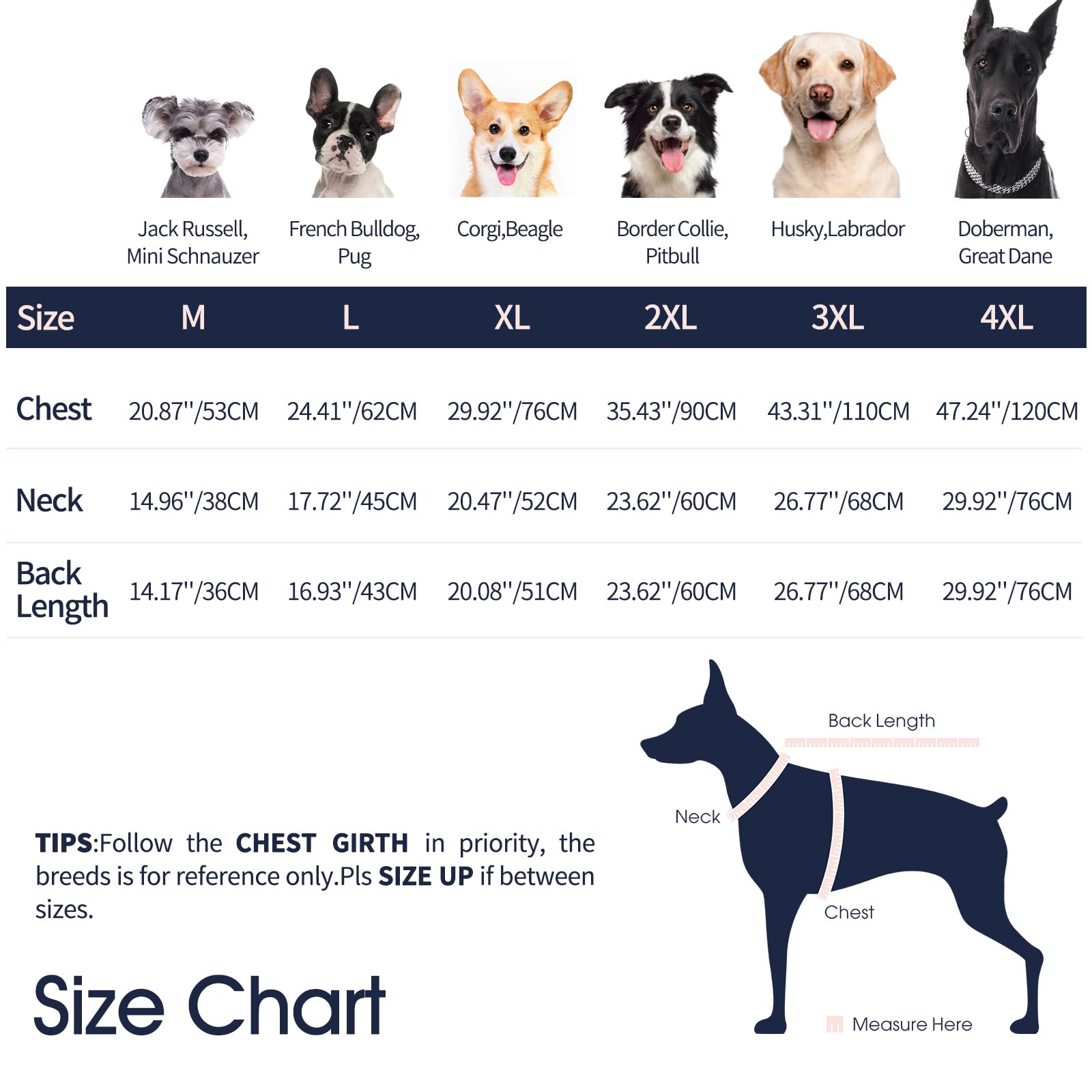 IECOii Dog Coats For Medium Dogs Waterproof,M Size Dog Coat With Zipper,Dog's Coats For Medium Dogs,Fleece Lined Warm Pet Jacket Winter Doggy Clothes,Reflective Pet Cold Weather Coats For Outdoor,M - Image 2
