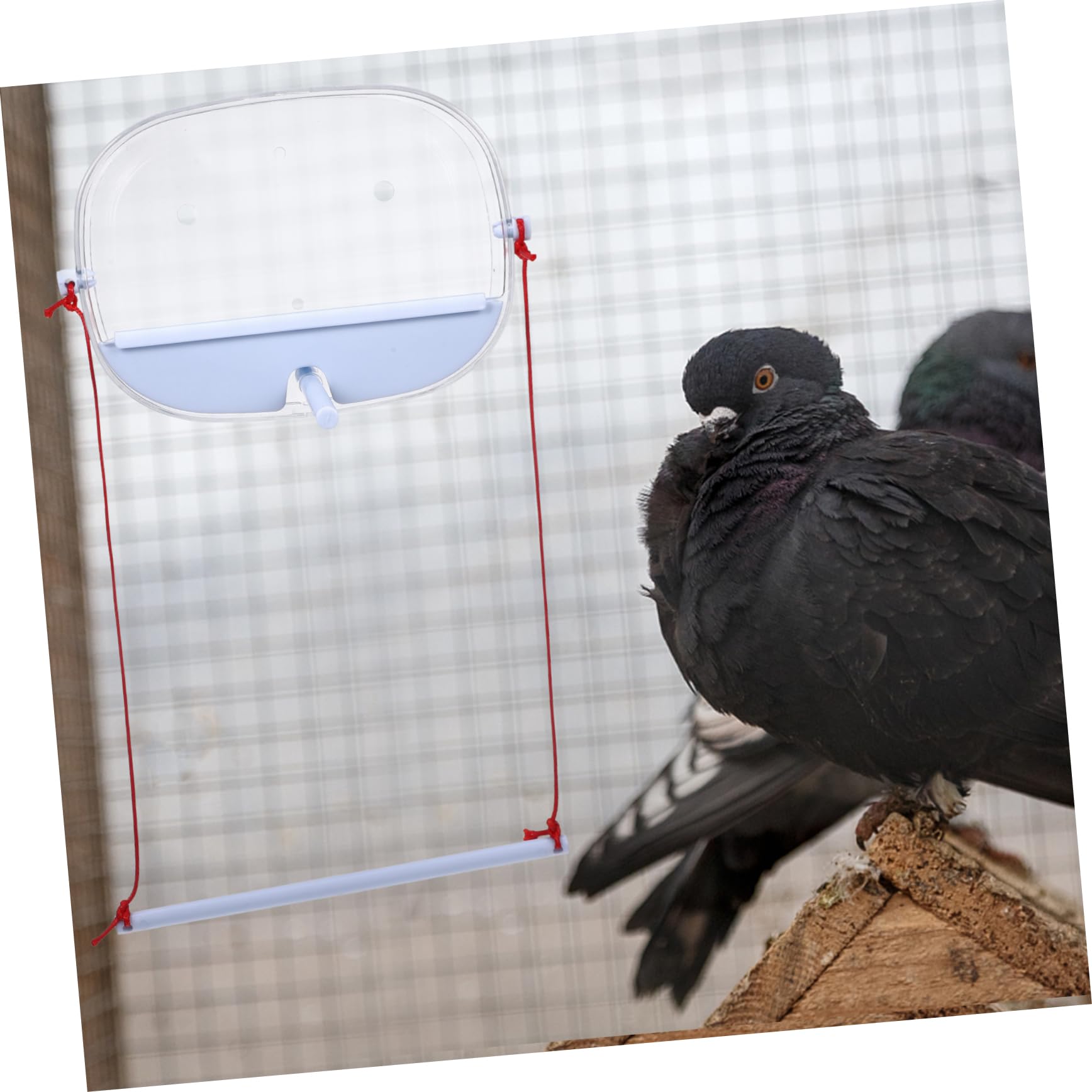 BESPORTBLE 4 Juegos Comedero para Pájaros Comedero para Jaula De Pájaros Ventosa del del Colibrí De La Ventana De Agua para para Loros con Lechón PD