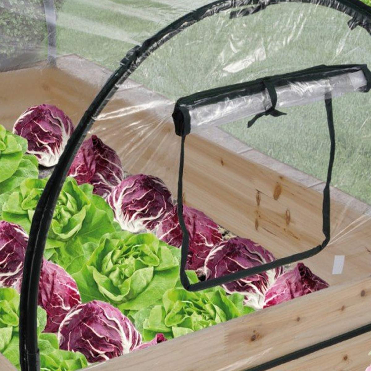 Serre XXL avec cadre en bois 120 x 80 x 50 cm