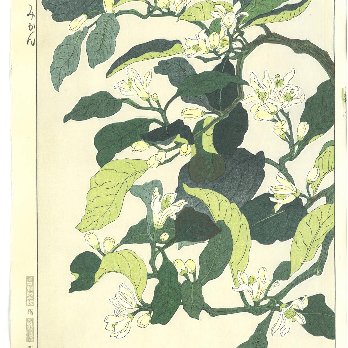 オリジナル 木版画 夏みかん 木版画 オリジナル 夏みかん High 0 監修