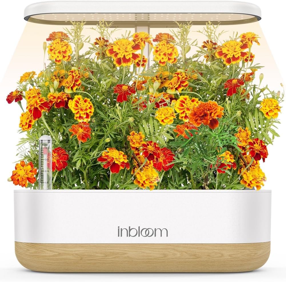 InBloom Wall Hanging Bird Stand with 1 Planter/Pot (Plant: Not Included)
