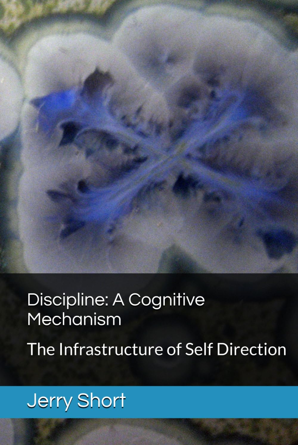 Discipline: A Cognitive Mechanism: The Infrastructure of Self Direction (The MGCA Multiverse Series)